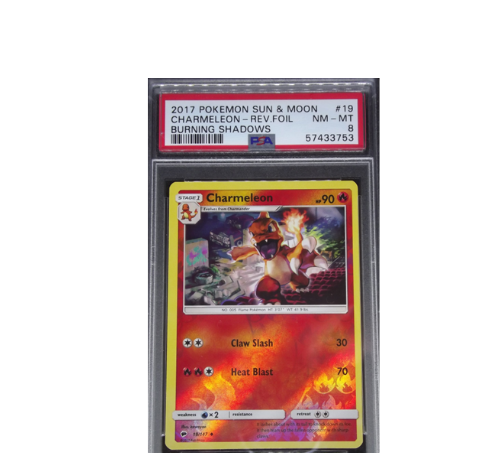 Pokemon TCG PSA 8 Charmeleon 19/147 reverse holo Burning Shadows