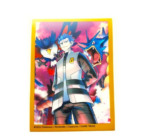 Pokemon TCG Cyrus Premium Tournament Collection losse sleeve