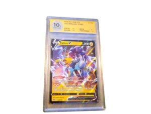 Raikou Brilliant Stars Woetoe 10