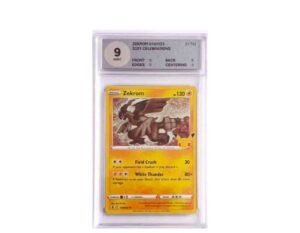 Zekrom Celebrations Woetoe 9