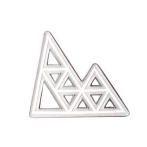 Pokemon Champion's Path ijs pin